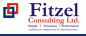 Fitzel Consulting Limited logo